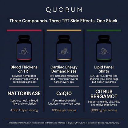 Quorum Heart Stack — Nattokinase, CoQ10 & Citrus Bergamot