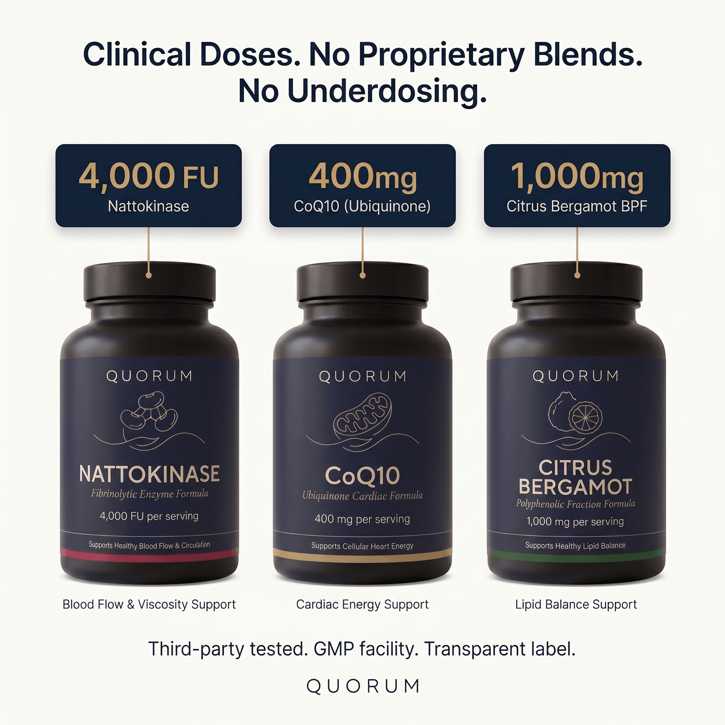 Quorum Heart Stack — Nattokinase, CoQ10 & Citrus Bergamot